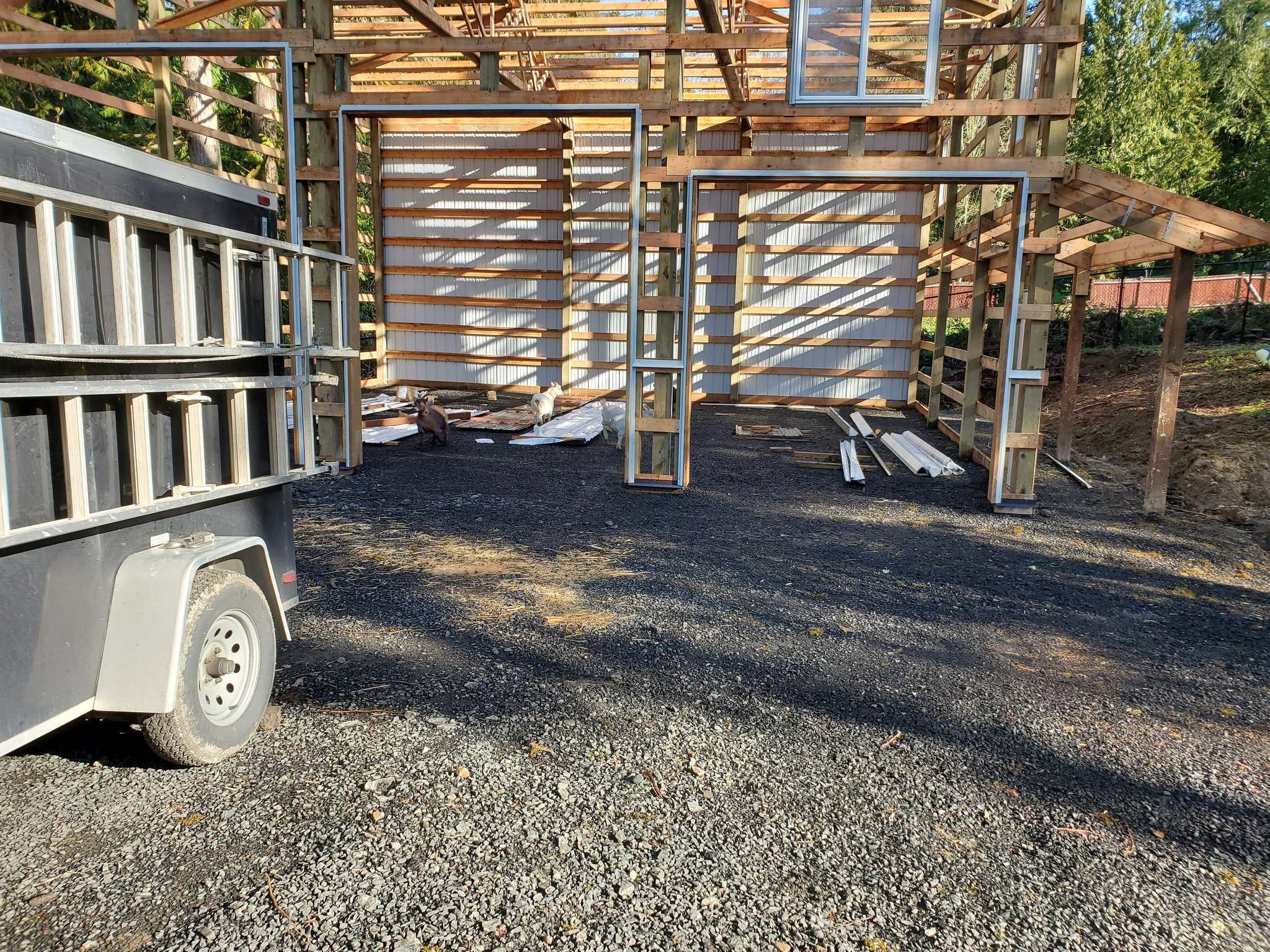 Premium Metal Siding Installation in Edgewood